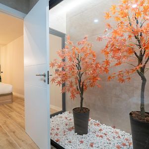 Appartement met de Toegang voor Gehandicapten